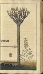 Une page des 