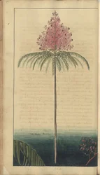 Une page des 