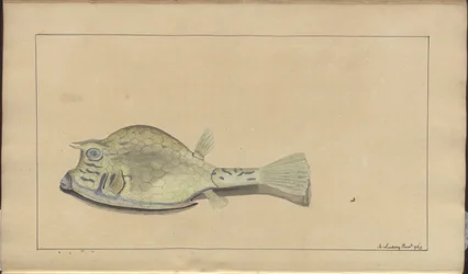 Dessins de Lindsay Vol. VII, 25