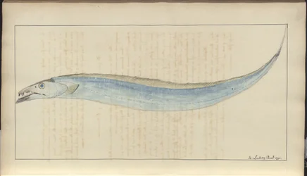 Dessins de Lindsay Vol. VII, 9