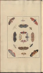 Dessins de Lindsay Vol. VI, 63