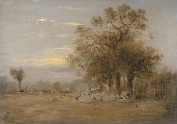 Moutons broutant