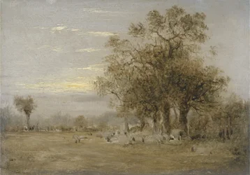 Moutons broutant