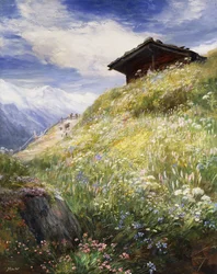 Une prairie alpine, Suisse