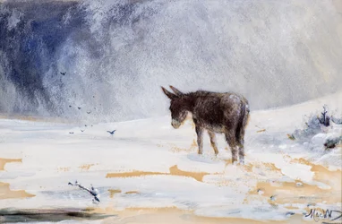 Âne dans la neige