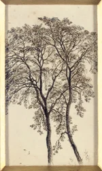 Étude d