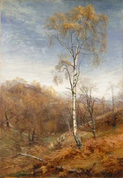 La Dame des Bois