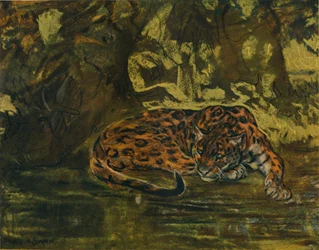 Un jaguar, c1900