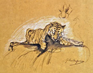 Tigresse mangeant, vers 1875