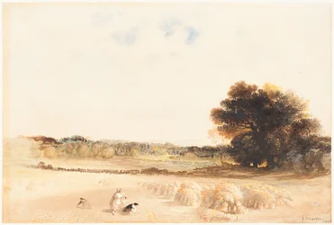 Glaneuses dans le champ de blé