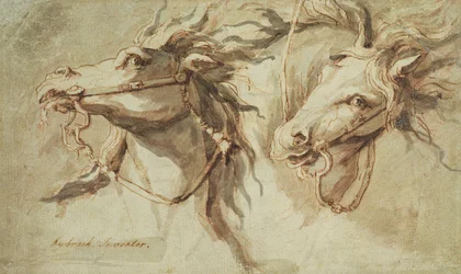 Deux têtes de chevaux