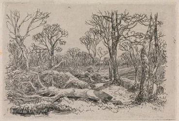 Bois abattu, Burningham