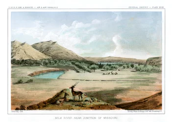 Rivière Milk, près de la jonction du Missouri, 1856