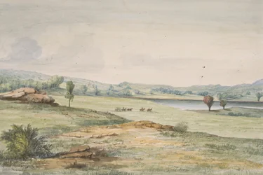Rivière Sauk