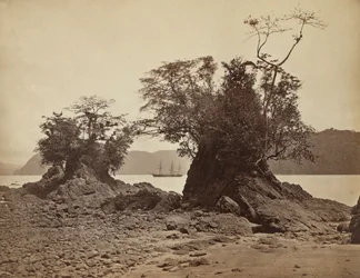 Îles dans la baie de Limón, 1871