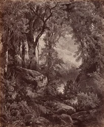 Solitude,1865 (photo)