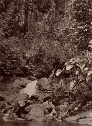 Paysage tropical, Cascade, Rivière Limon, 1871