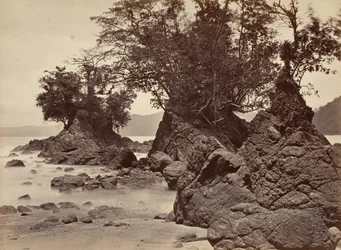 Paysage tropical, baie de Limon - marée basse, 1871