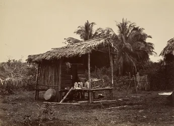 Paysage tropical, hutte indigène, Turbo, 1871