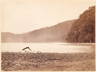 Paysage tropical : Le terminus du projet de canal, la baie de Limon (Expédition Darien)