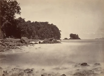 Paysage tropical, vue de la baie de Limon, 1871