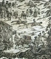 Courses de chevaux à l