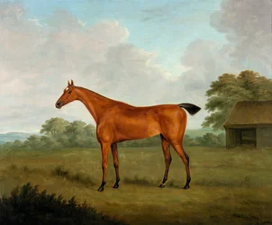 Cheval alezan dans un paysage, 1815