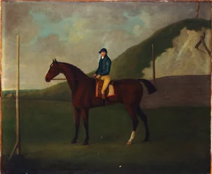"Creeper", un poulain bai avec jockey au départ à Running Gap dans Devils Ditch, Newmarket