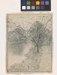 Arbre à côté d
