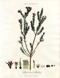Philothèque