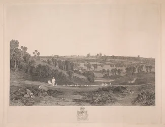 Vue d
