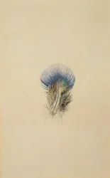 Étude d