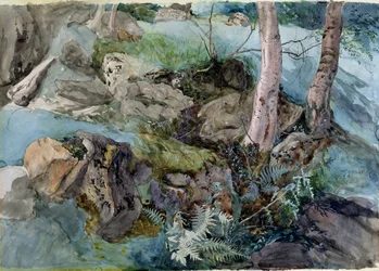 Étude de rochers et de fougères dans un bois à Crossmount, Perthshire, 1843