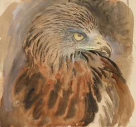 La tête d