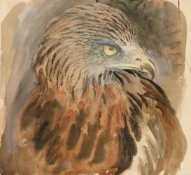 La tête d