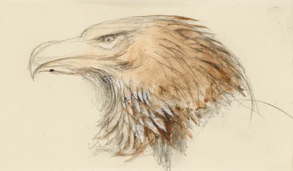 La tête d