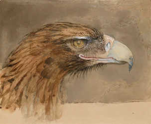 La tête d