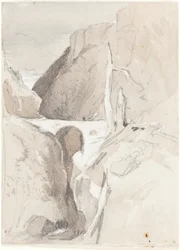 Gorge avec souches d