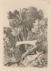 Liber Studiorum: Planche 11: Parsons Bridge, Cardingshire, 1838