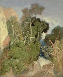 Bouleaux argentés