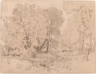 Paysage boisé