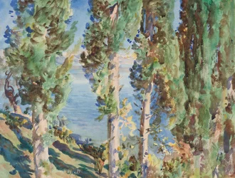 Corfou : cyprès