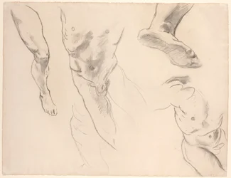 Études de figure d