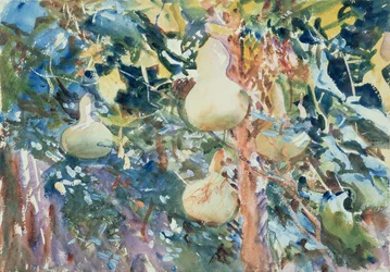 Courges, vers 1905