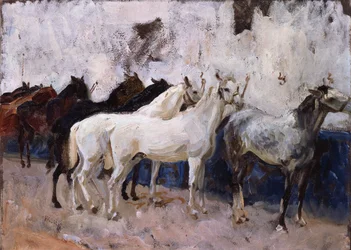 Chevaux à Palma, Majorque, Espagne, 1908
