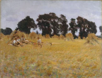 Moissonneurs se reposant dans un champ de blé, 1885
