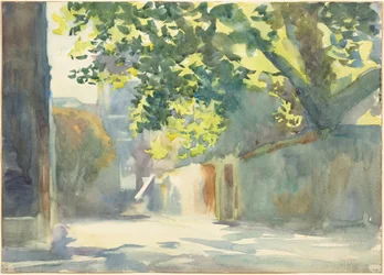 Mur ensoleillé sous un arbre