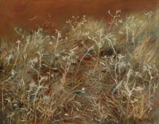 Chardons, 1883-89