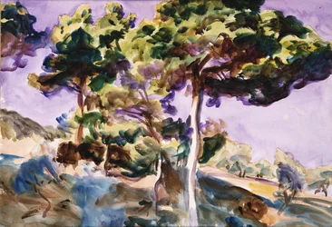 Arbres