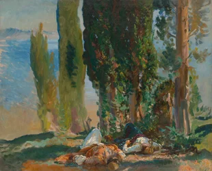 Sous les cyprès à Corfou